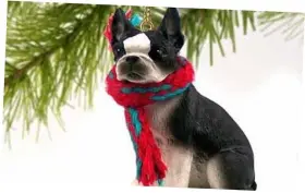 DTX12 CONVERSATION CONCEPTS Boston Terrier Miniature Ornament
