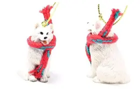 DTX82 CONVERSATION CONCEPTS American Eskimo Dog Miniature
