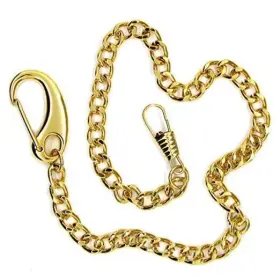 FC12A WATCHVSHOP Pocket Watch Chain Albert Tone Polish Vest
