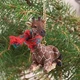 Conversation Concepts Giraffe Tiny Miniature One Christmas Ornament - (Brown)...